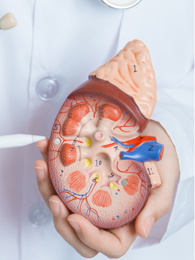 Polycystic Kidney Disease Treatment