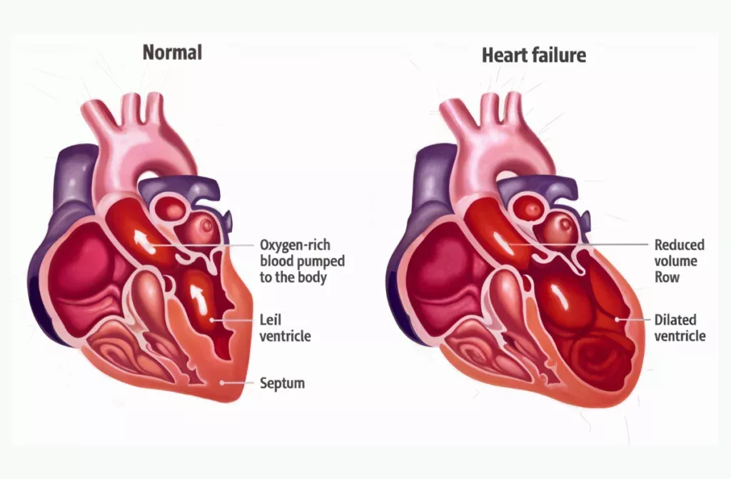 Signs of a Healthy Heart 