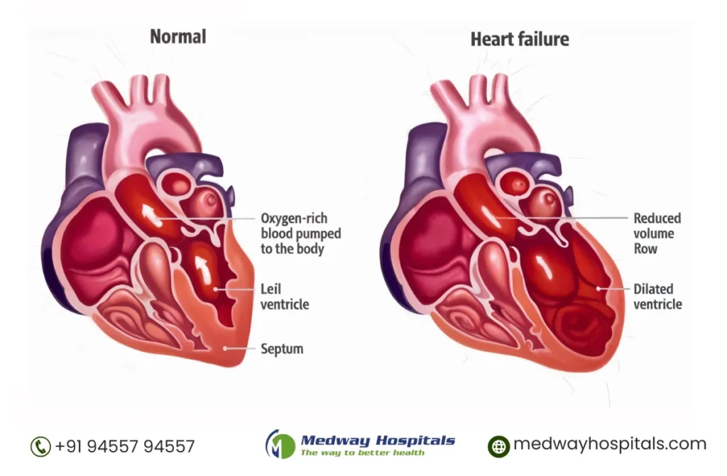 Signs of a Healthy Heart